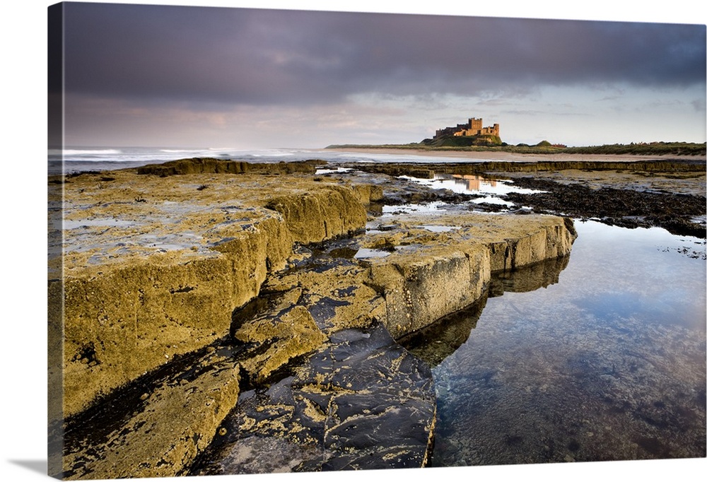 Bamburgh Castle bathed in evening light with foreground of barnacle-encrusted rocks and rock pools, Bamburgh, Northumberla...