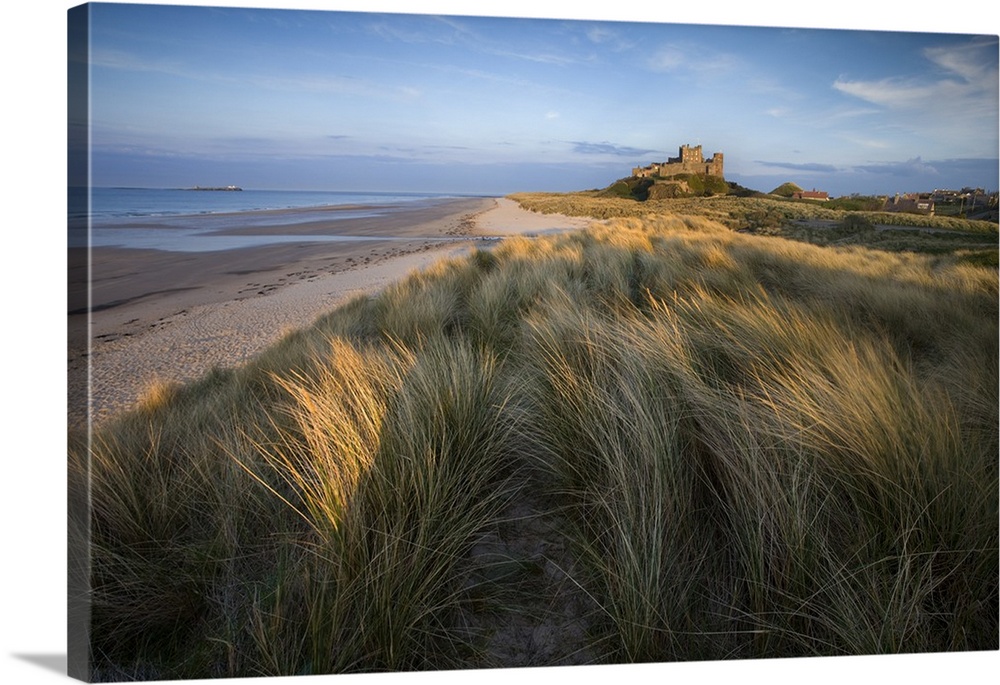 Looking towards Bamburgh Castle bathed in evening light from the dunes above Bamburgh Beach, Bamburgh, Northumberland, Eng...
