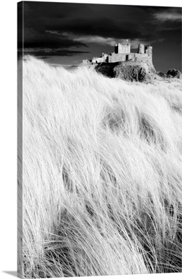 Bamburgh Castle from the dunes, Northumberland, England, UK