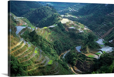 Banaue terraced rice fields, island of Luzon, Philippines