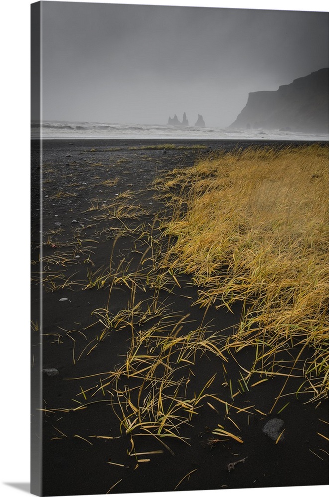 Basalt rock formations (sea stacks) and black sand beach in Vik, Iceland, Polar Regions