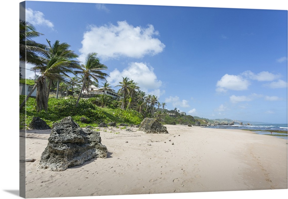 Bathsheba Beach, Bathsheba, St. Joseph, Barbados, West Indies, Caribbean, Central America