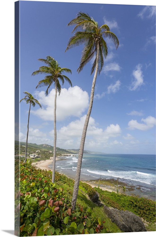 Bathsheba Beach, Bathsheba, St. Joseph, Barbados, West Indies, Caribbean, Central America