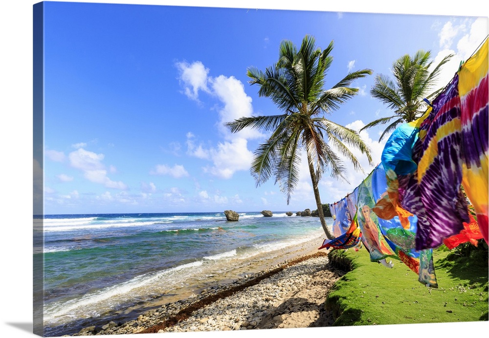 Bathsheba, colourful garments blow in the breeze, windswept palm trees, Atlantic waves, rugged East Coast, Barbados, Windw...