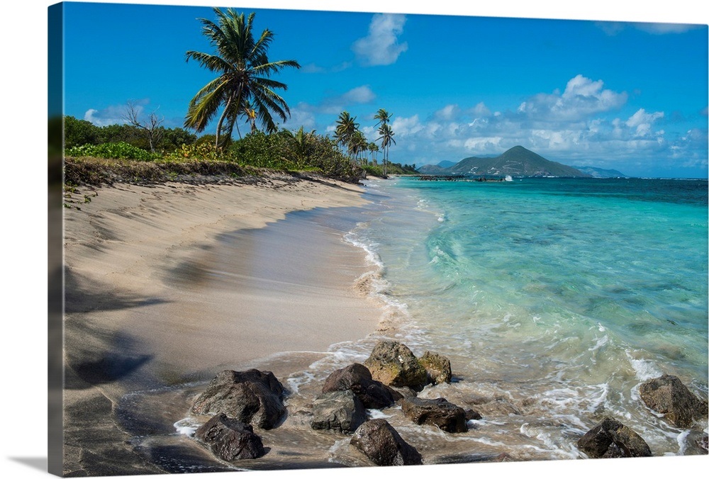 Beach at Long Haul Bay, Nevis Island, St. Kitts and Nevis, Leeward Islands Wall Art, Canvas