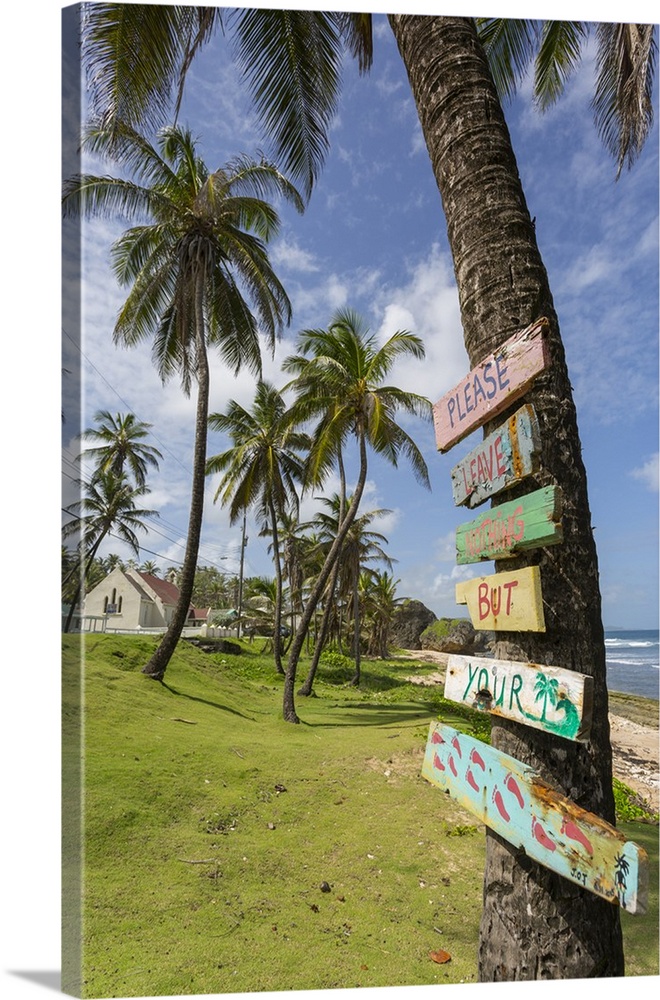 Beach, Bathsheba, St. Joseph, Barbados, West Indies, Caribbean, Central America