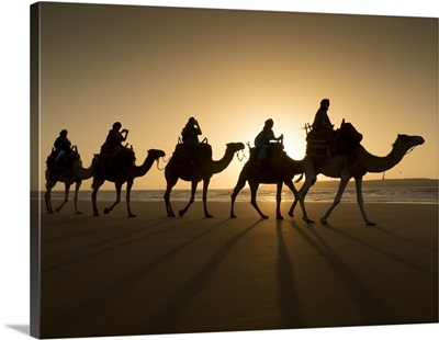 Beach Camel Trek, Essaouira, Morocco