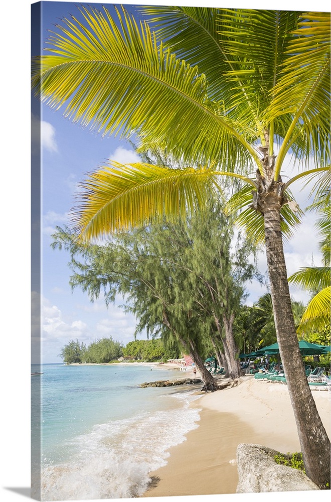 Beach, Holetown, St. James, Barbados, West Indies, Caribbean, Central America