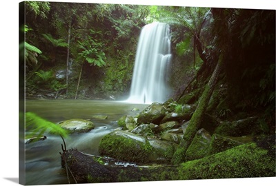 Beauchamp Fall, Waterfall in the Rainforest, Great Ocean Road, Victoria, Australia