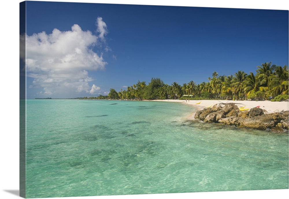 Beautiful palm fringed white sand beach in the turquoise waters of Tikehau, Tuamotus, French Polynesia