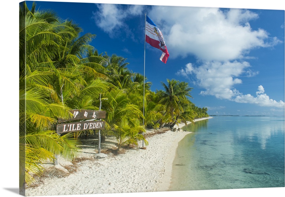 Beautiful palm fringed white sand beach in the turquoise waters of Tikehau, Tuamotus, French Polynesia