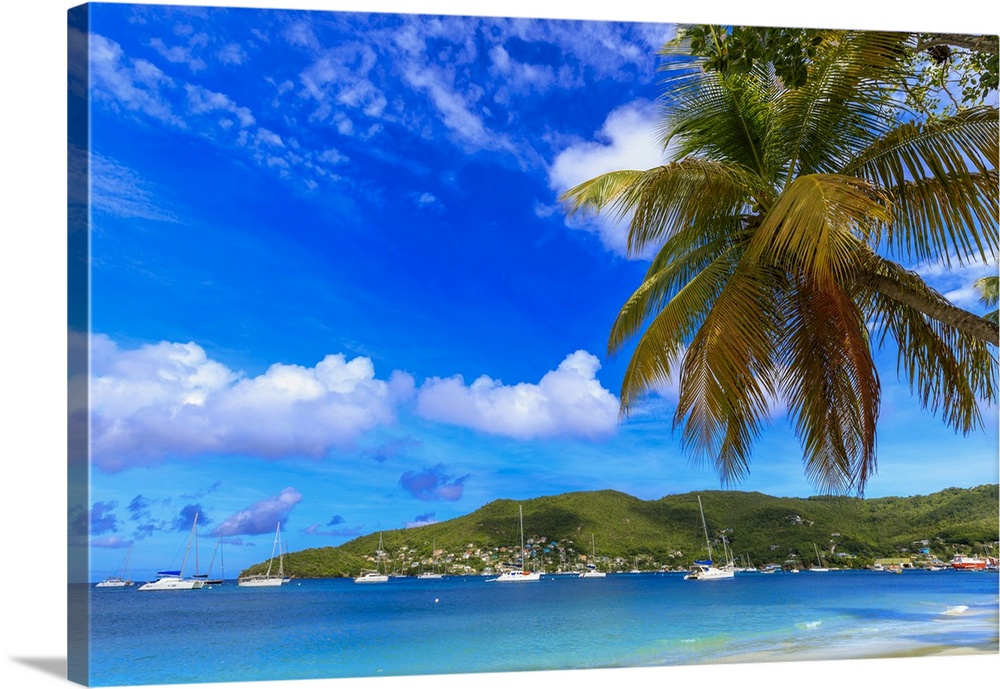 Quiet Caribbean, sea shore palm trees, beautiful Port Elizabeth, Admiralty Bay, Bequia, The Grenadines, St. Vincent and th...