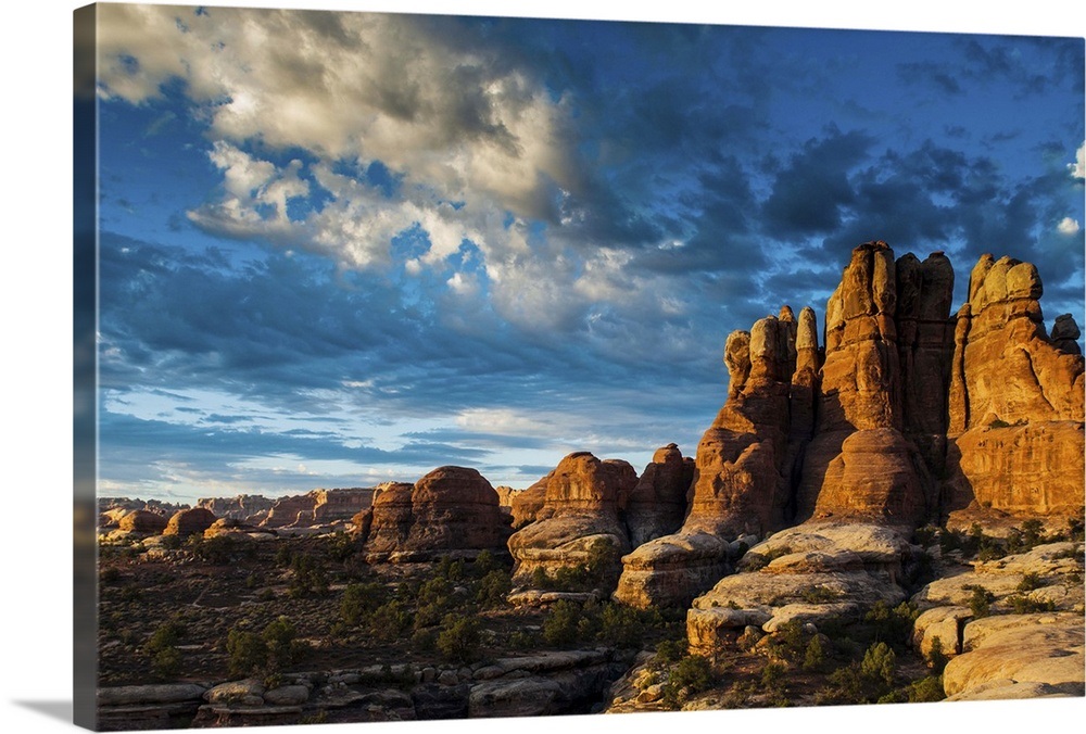 Beautiful rock formations in the Needles, Canyonlands National Park