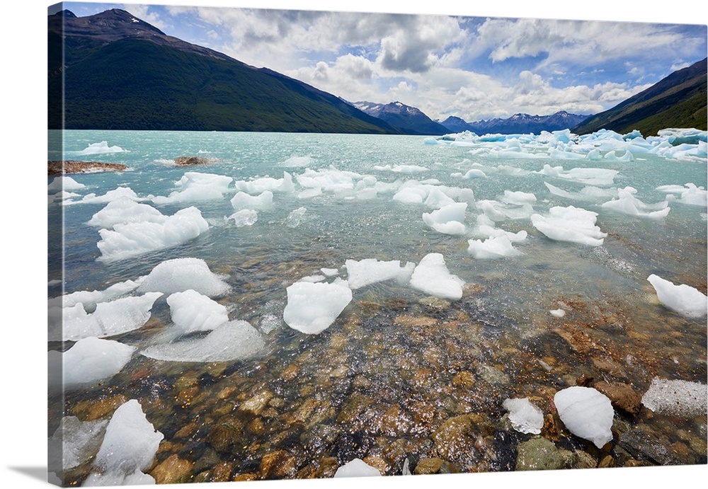 Blocks of ice float in one of the affluents of Lago Argentino, next to Perito Moreno Glacier, and wash ashore before they ...