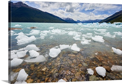 Blocks of ice float in one of the affluents of Lago Argentino
