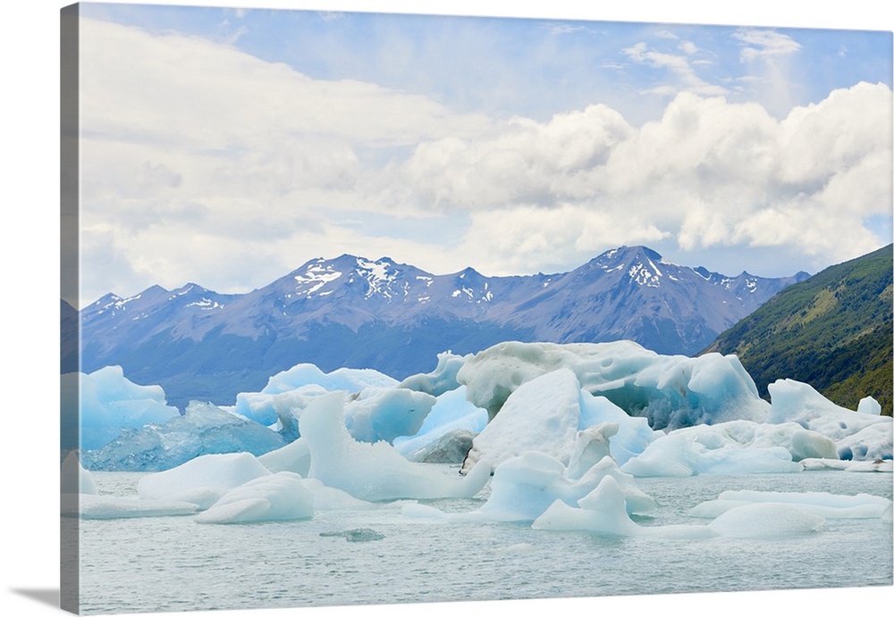 Blocks of ice float in one of the affluents of Lago Argentino, next to Perito Moreno Glacier, and wash ashore before they ...