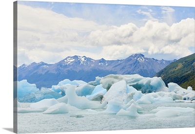 Blocks of ice float in one of the affluents of Lago Argentino, Patagonia