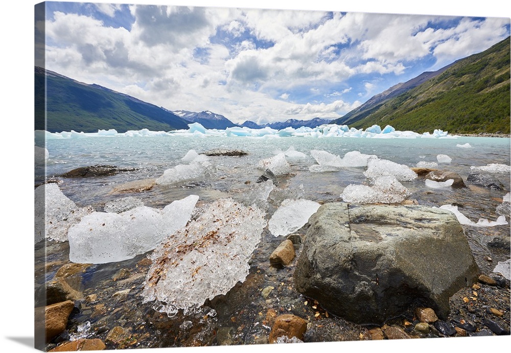 Blocks of ice float in one of the affluents of Lago Argentino, next to Perito Moreno Glacier, and wash ashore by the rocks...