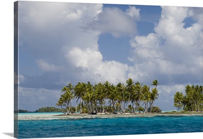Blue Lagoon, Rangiroa, Tuamotu Archipelago, French Polynesia, Pacific Islands