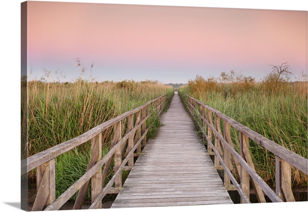 Boardwalk at sunrise, Federsee Lake, Nature reserve, Bad Buchau, Upper Swabia, Baden-Wurttemberg, Germany, Europe