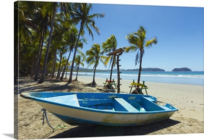 Boat on palm-fringed beach Samara, Nicoya Peninsula, Costa Rica
