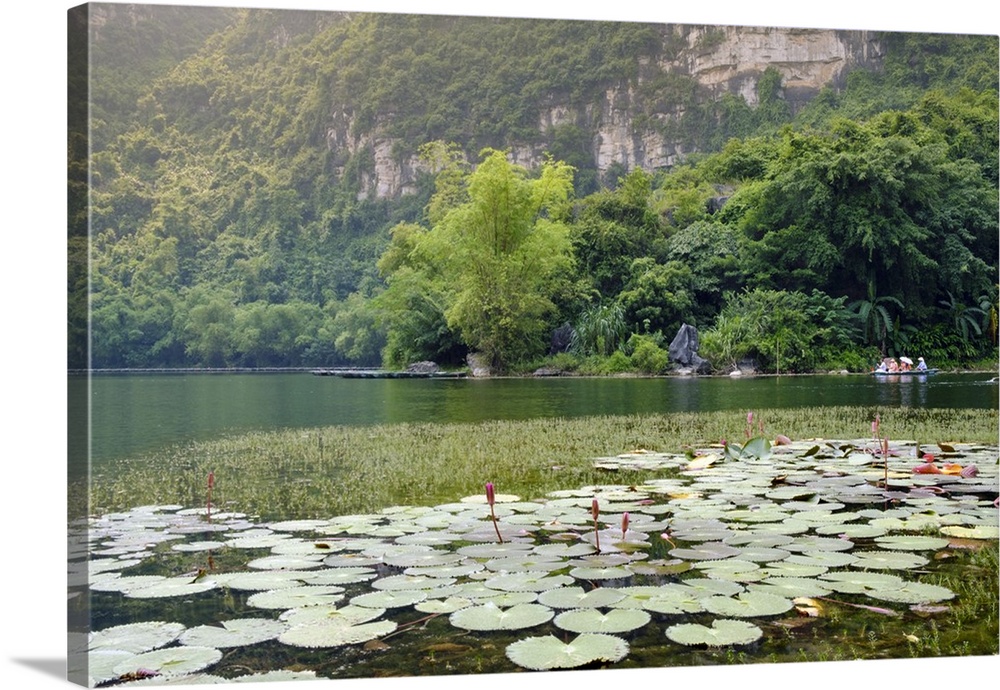 Boats and waterlilies on a river in the karst landscapes of Tam Coc and Trang An in the Red River area, UNESCO World Herit...
