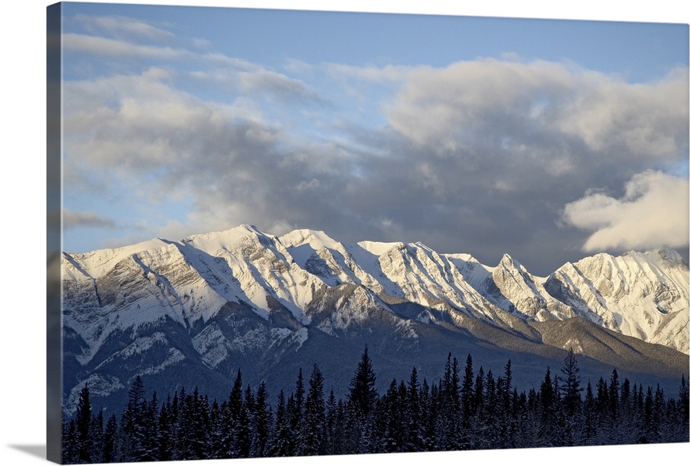 Bosche Range in winter, Jasper National Park, Rocky Mountains, Alberta, Canada