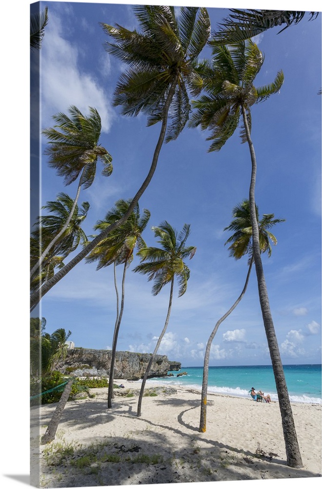 Bottom Bay, St. Philip, Barbados, West Indies, Caribbean, Central America