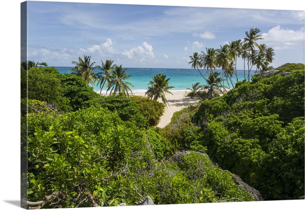 Bottom Bay, St. Philip, Barbados, West Indies, Caribbean, Central America