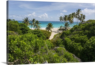 Bottom Bay, St. Philip, Barbados, West Indies, Caribbean