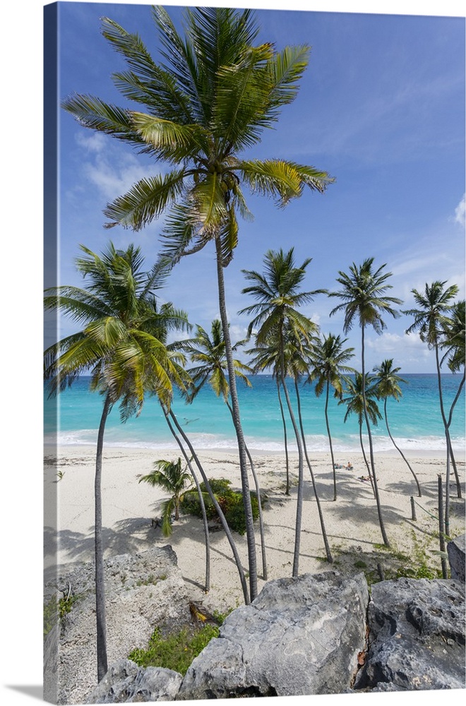 Bottom Bay, St. Philip, Barbados, West Indies, Caribbean, Central America