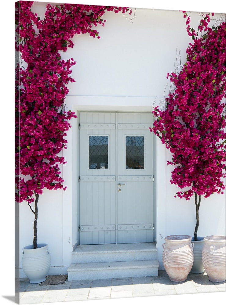 Plastic bougainvillea decoration surrounding a mint coloured door in Naxos city, Naxos, Cyclades, Greek Islands, Greece, E...