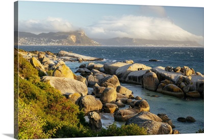 Boulders Beach, Cape Town, Western Cape, South Africa