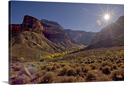 Bright Angel Canyon With Bright Yellow Trees, Grand Canyon National Park, Arizona