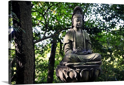 Buddha in the Sankeien Garden, Yokohama, Tokyo, Japan