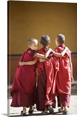 Buddhist Monks, Paro Dzong, Paro, Bhutan
