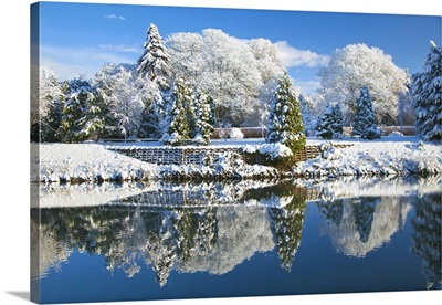 Bute Park in snow, Cardiff, Wales