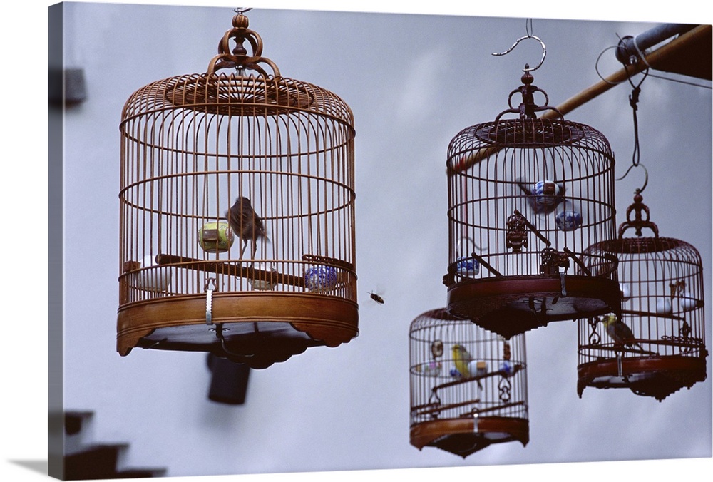 Caged birds for sale, Yuen Po Street Bird Garden, Mong Kok, Kowloon, Hong Kong
