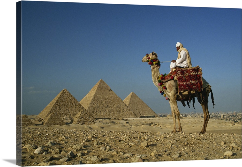 Camel and rider near the Pyramids, UNESCO World Heritage Site, Giza, Cairo, Egypt