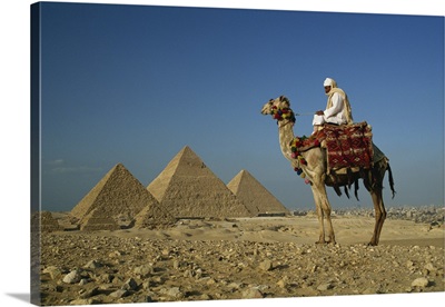 Camel and rider near the Pyramids, UNESCO World Heritage Site, Giza, Cairo, Egypt