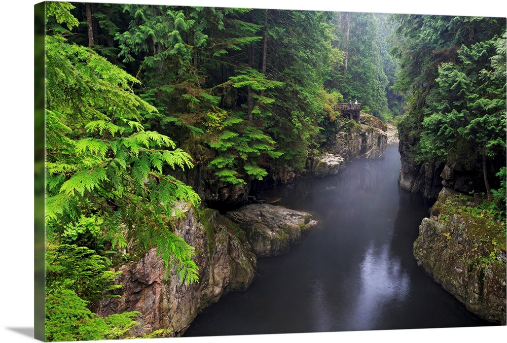 Capilano River Regional Park, Vancouver, British Columbia, Canada, North America