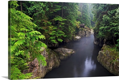 Capilano River Regional Park, Vancouver, British Columbia, Canada