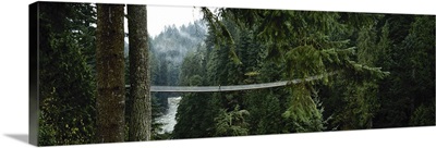 Capilano Suspension Bridge, Vancouver, British Columbia, Canada, North America
