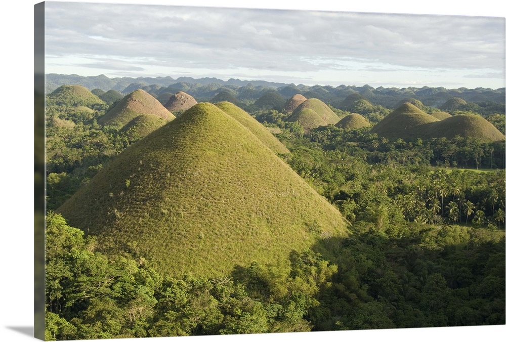 Chocolate Hills, conical hills in tropical limestone karst, Carmen, Bohol, Philippines