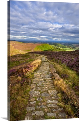 Cleveland Way And Little Bonny Cliff, North Yorkshire Moors, Yorkshire, England