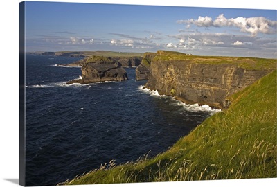 Cliffs near Kilkee, Loop Head, County Clare, Munster, Republic of Ireland