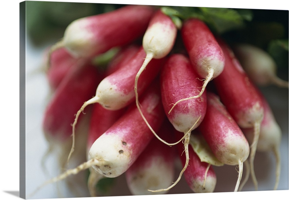 Close-up of a bunch of radishes