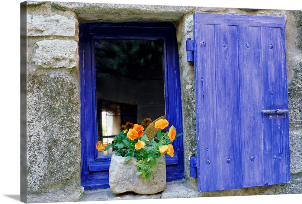 Close-up of blue shutter, window and yellow pansies, Provence, France
