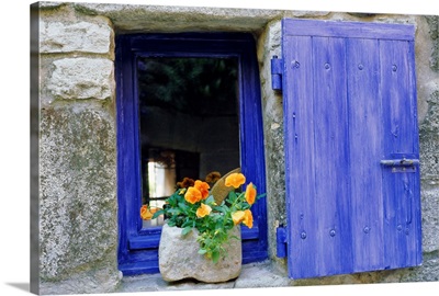 Close-up of blue shutter, window and yellow pansies, Provence, France