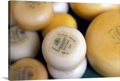 Close-up of Dutch cheeses, Amsterdam, The Netherlands (Holland)